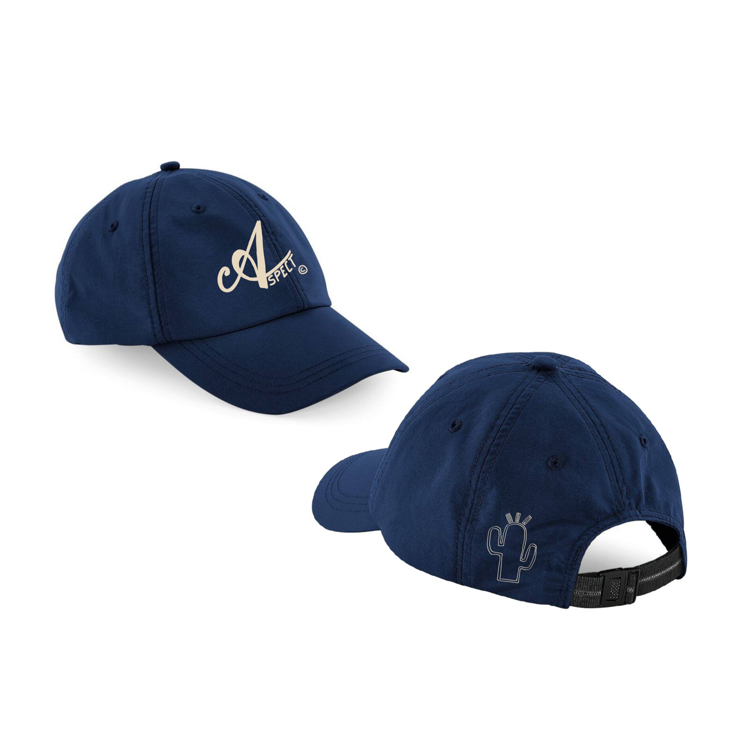 -Aspect© c/o CaktusLab-