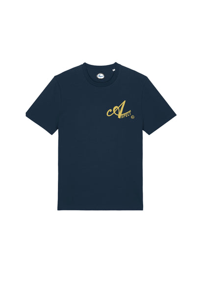 -Aspect© Logo 2024-